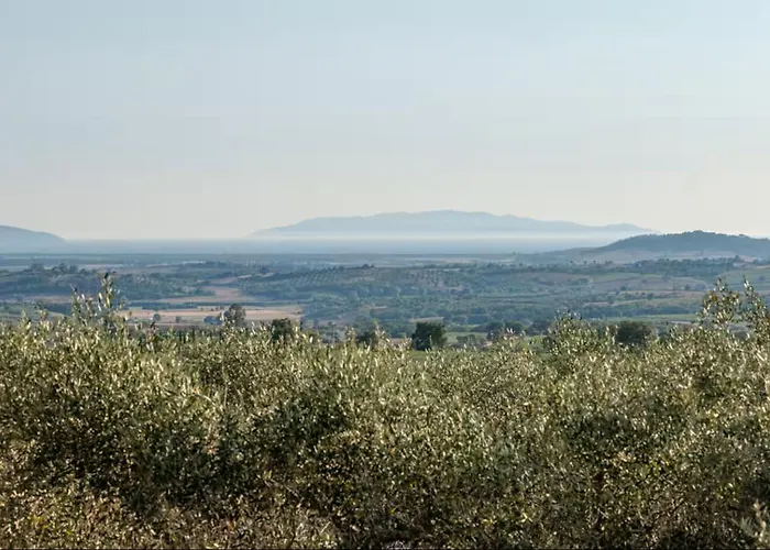 Tenuta San Crescenzio